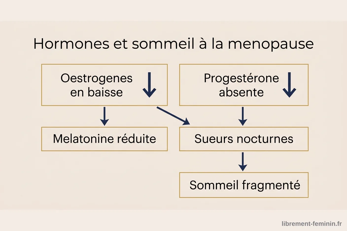 Schéma des hormones et sommeil à la ménopause Schéma montrant comment la chute des oestrogènes à la ménopause réduit la mélatonine et provoque des troubles du sommeil